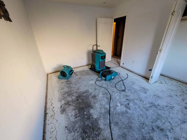 Best Fire Damage Restoration  in Enosburg Falls, VT