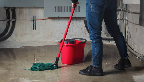 Best Carpet water damage restoration  in Enosburg Falls, VT