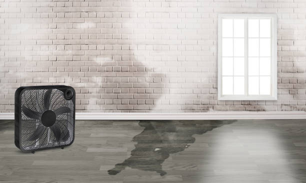 Best Local water damage restoration  in Enosburg Falls, VT