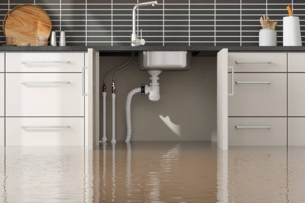 Best Mold removal after water damage  in Enosburg Falls, VT